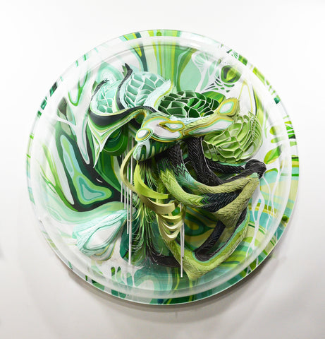 Crystal Wagner: Carpasinus