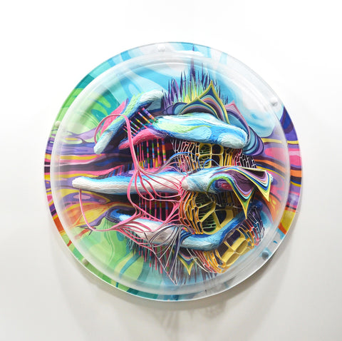 Crystal Wagner: Seco