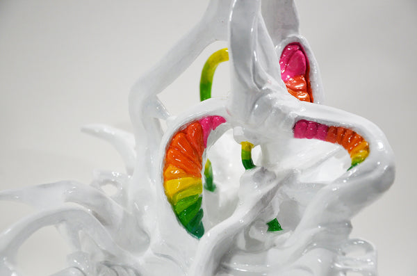 Crystal Wagner: Ossis