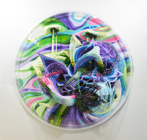 Crystal Wagner: Corius