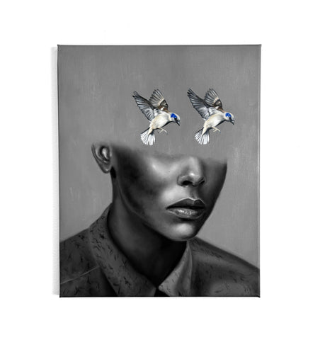 Alex Acheval: Bird's Eye View