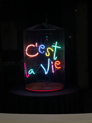 Olivia Steele: C'est la vie