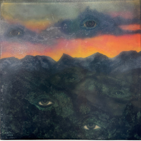 Rachel Caaw: Eyes in the Sky