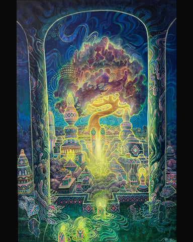 Jonathan Solter: Quest