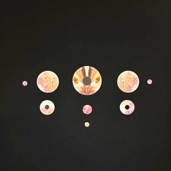 Tatum: It's Not What It's About Collage Series