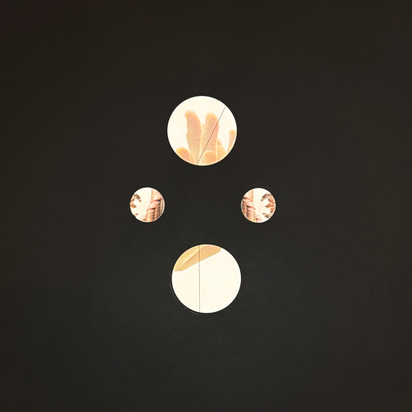 Tatum: It's Not What It's About Collage Series