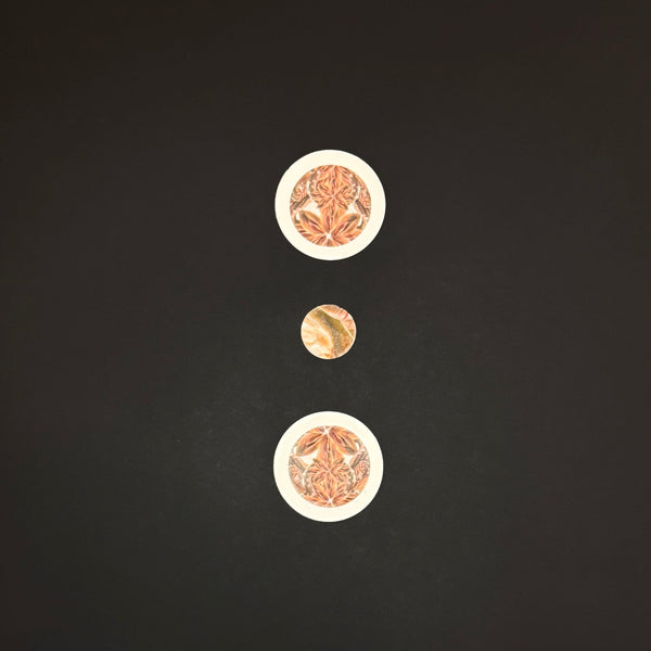 Tatum: It's Not What It's About Collage Series