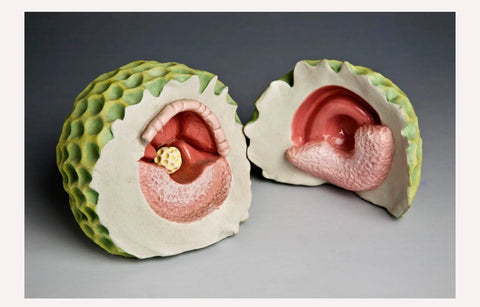 Phoebe Deutsch: Curious Fruit